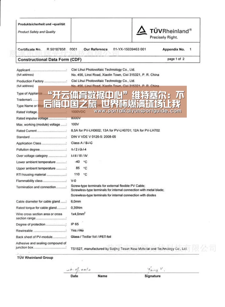 “开云体育数据中心”维特塞尔：不后悔中国之旅 世界杯爆满球场