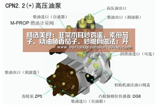 精选美食：韭菜木耳炒鸡蛋、素煎茄子、烧油鱼香茄子、炒脆骨做法